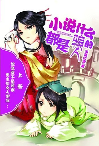 小說什麼的都是騙人的